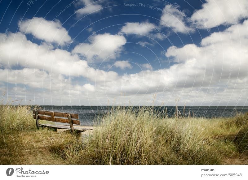 Friesenbank Natur Landschaft Himmel Wolken Wetter Schönes Wetter Küste Strand Bucht Nordsee Meer Insel Bank ruhig Erholung erleben Ferien & Urlaub & Reisen