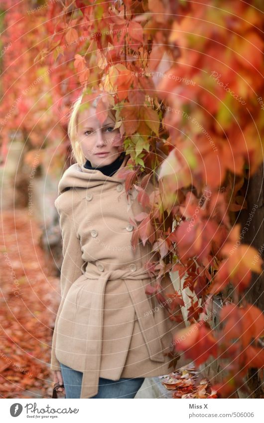 Roter Wein Mensch feminin Junge Frau Jugendliche 1 18-30 Jahre Erwachsene Herbst Pflanze Blatt Garten verblüht blond schön rot Wilder Wein Kletterpflanzen