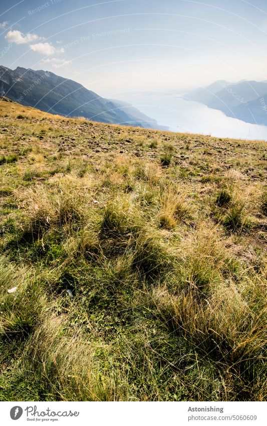 Blick vom Monte Baldo auf den Gardasee 2 See Natur Landschaft Aussicht Italien Berg Gebirge Gipfel Wiese Himmel Weite Gras Wasser Sonne gelb blau Wolken