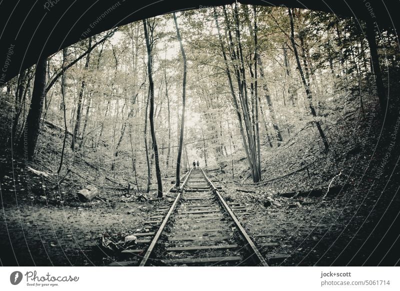 unter der Brücke auf alten verrosteten Gleisen Schienen lost places Verfall Vergänglichkeit Wandel & Veränderung Renaturierung aufgegeben Verkehrswege