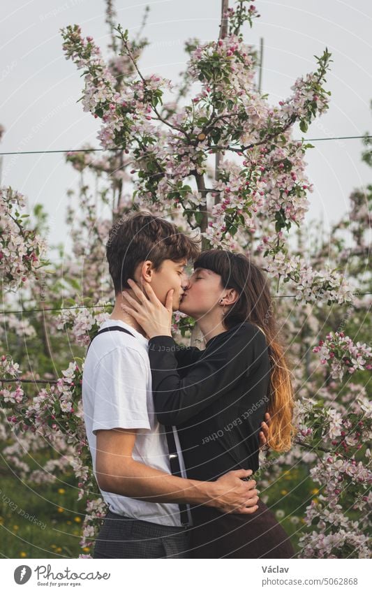 Junge starke Liebe zwischen zwei wunderbaren Menschen, die unter Apfelbäumen spazieren gehen. Unverfälschtes Porträt eines Paares in Freizeitkleidung. Kuss der reinen Liebe