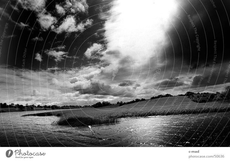 Waterway Upper Lough Erne Nordirland Schilfrohr Wolken schwarz weiß Sommer Gegenlicht Fluss Wasser sign Zeichen Gewitter Landschaft wolkenstimmung Sonne