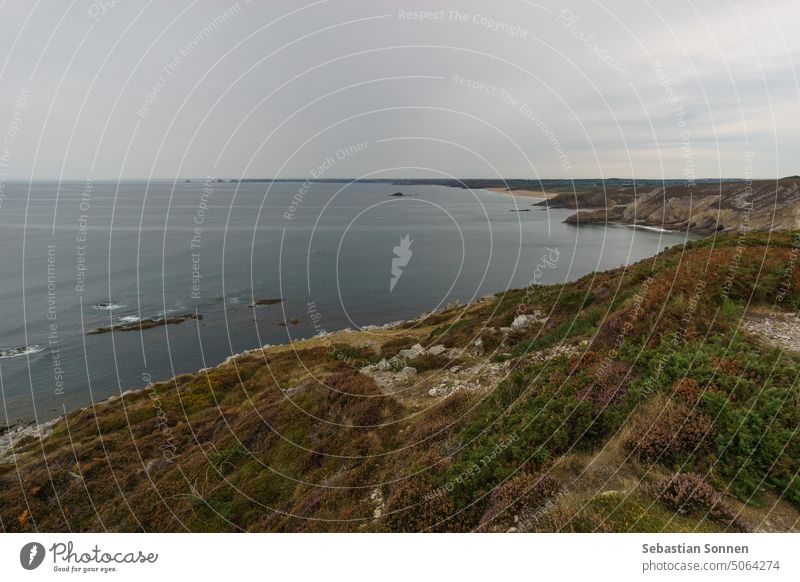 Küste bei Cap de la Chevre mit schöner Heidelandschaft, Crozon, Parc naturel regional d'Armorique, Bretagne, Frankreich MEER Klippe reisen Landschaft Wasser