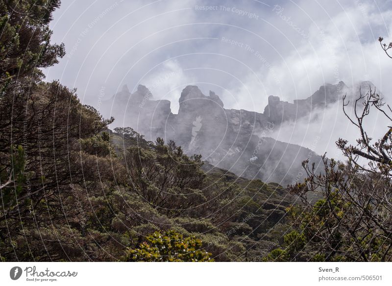 Gunung Kinabalu Natur Landschaft Wolken Berge u. Gebirge Mount Kinabalu Gipfel außergewöhnlich eckig fantastisch Höhenangst gefährlich Farbfoto Tag