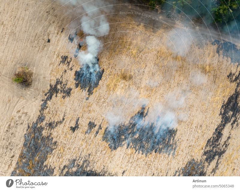 Luftaufnahme eines landwirtschaftlichen Betriebs mit Rauch, der durch die Verbrennung von Pflanzen entsteht und Kohlendioxid freisetzt. Ein Treibhausgas. Landwirte verbrennen Ernterückstände nach der Ernte, um das Land vorzubereiten. Luftverschmutzung. Umweltproblem.