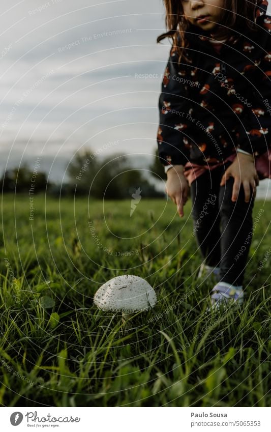 Niedliches Kind schaut auf einen Pilz Kindheit Mädchen eine Person Herbst authentisch Leben Außenaufnahme Freude Farbfoto niedlich Freizeit & Hobby Mensch Tag