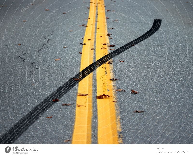 Elchwanderung Verkehr Verkehrswege Straßenverkehr Autofahren Wege & Pfade Mittelstreifen Bremsspur Reifenspuren Asphalt außergewöhnlich einfach Geschwindigkeit