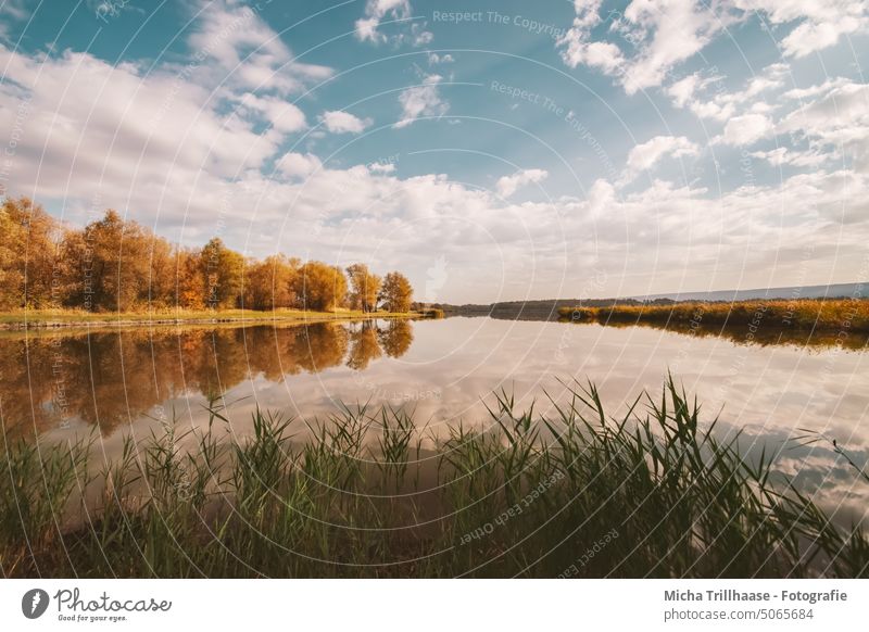 See im Herbst herbstlich Wasser Gewässer Bäume Sträucher Schilf Gras Blätter Laub Herbstlaub Natur Landschaft Himmel Wolken Sonne Sonnenschein Reflektionen