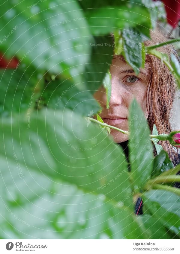 Das Gesicht einer Frau durch grüne Blätter Auge Blick Porträt Junge Frau Haare & Frisuren Kopf Blick in die Kamera Frauengesicht Jugendliche 18-30 Jahre