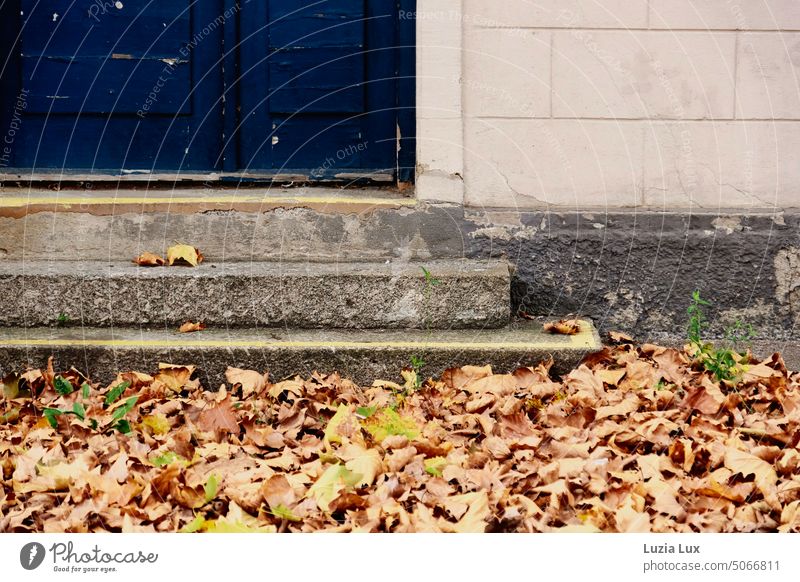 Der Herbst ist da: vor Treppen und einer blauen Tür sammelt sich Herbstlaub herbstlich Blätter Herbstfärbung Natur Herbststimmung Jahreszeiten Laubwerk