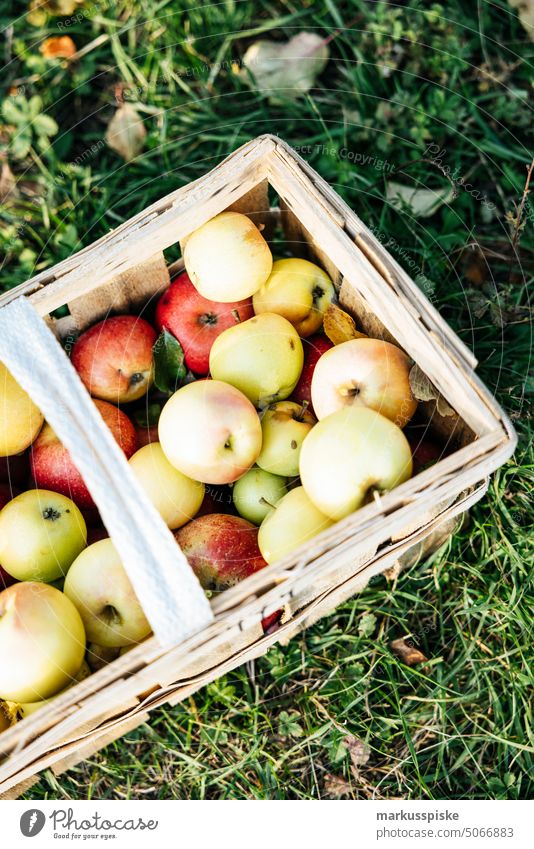 Urban Gardening Apfel Obst Biografie gmo frei Ackerbau biodynamisch Blütezeit züchten Zucht kontrollierte Landwirtschaft Bodenbearbeitung Lebensmittel Früchte