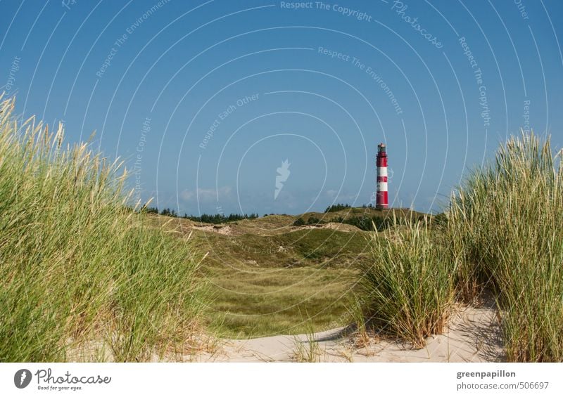 auf die Insel Ferien & Urlaub & Reisen Tourismus Ausflug Sommerurlaub Strand Meer Fahrradfahren Joggen wandern Umwelt Natur Landschaft Küste Nordsee Amrum