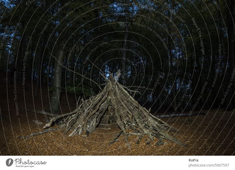 Kindertipi bei Nacht im Wald. Herbst Landschaft Weg Pfad Eichen Allee Feldweg Natur Waldweg Jahreszeit Witterung landscape Laub Wetter Herbstnebel