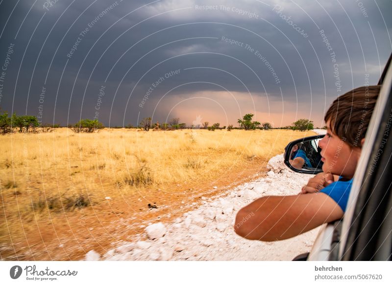 abenteuerentdecker Landschaft besonders Sträucher Gras Außenaufnahme Farbfoto fantastisch Ferne Freiheit Safari Abenteuer Ferien & Urlaub & Reisen beeindruckend