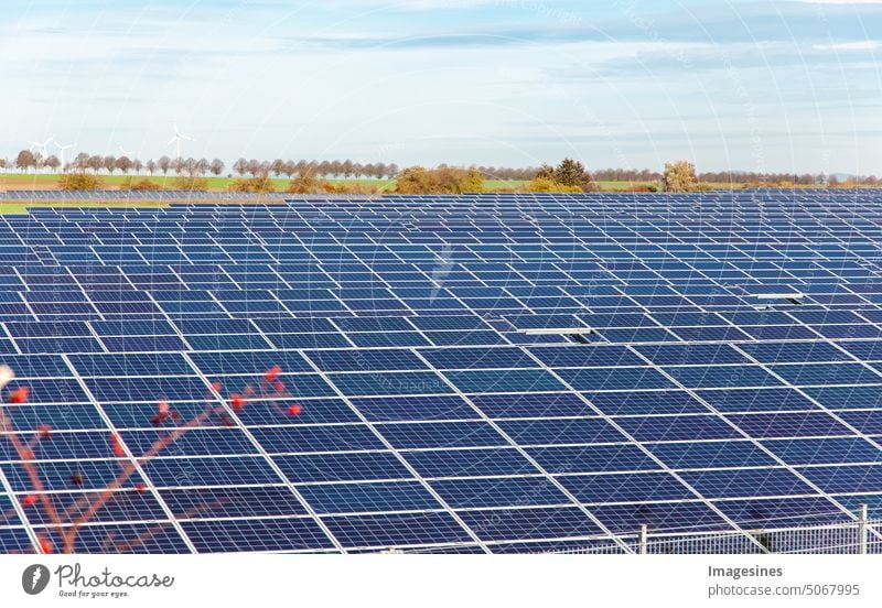 Sonnenkollektoren in einem Feld. Photovoltaik, alternative Stromquelle. Konzept nachhaltiger Ressourcen. Architektur Zelle Klima Landschaft Krise ökologisch