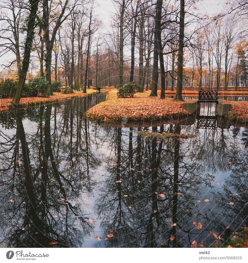 Herbstfarben Park Teich Insel Herbstlaub Sträucher Zweige u. Äste Gras Laubbaum Schönes Wetter Wasser Idylle Hoffnung Symmetrie Vergänglichkeit Sehnsucht Trauer