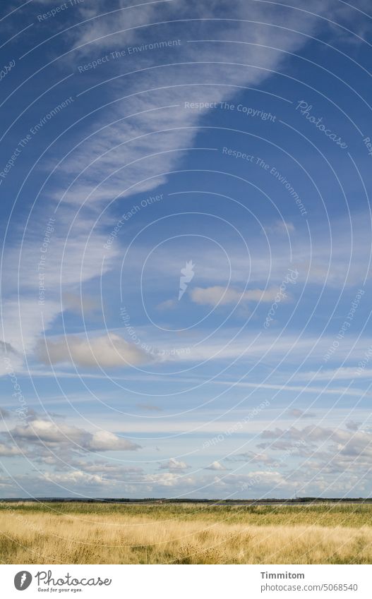 Hoher Himmel, flaches Land blau Wolken hoch weit Felder Gräser Weite schönes Wetter Herbst Menschenleer Dänemark Landschaft Natur Horizont Sonnenlicht