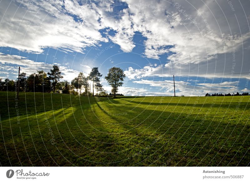 lange Schatten Umwelt Natur Landschaft Pflanze Himmel Wolken Horizont Sonne Sommer Wetter schlechtes Wetter Wärme Baum Gras Wiese Wald Hügel Mühlviertel stehen