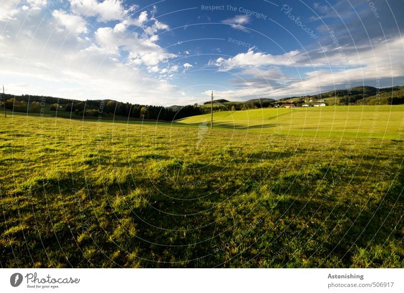 Hügelland Kabel Umwelt Natur Landschaft Pflanze Himmel Wolken Horizont Sommer Wetter Schönes Wetter Wärme Baum Gras Sträucher Wiese Wald Mühlviertel stehen blau