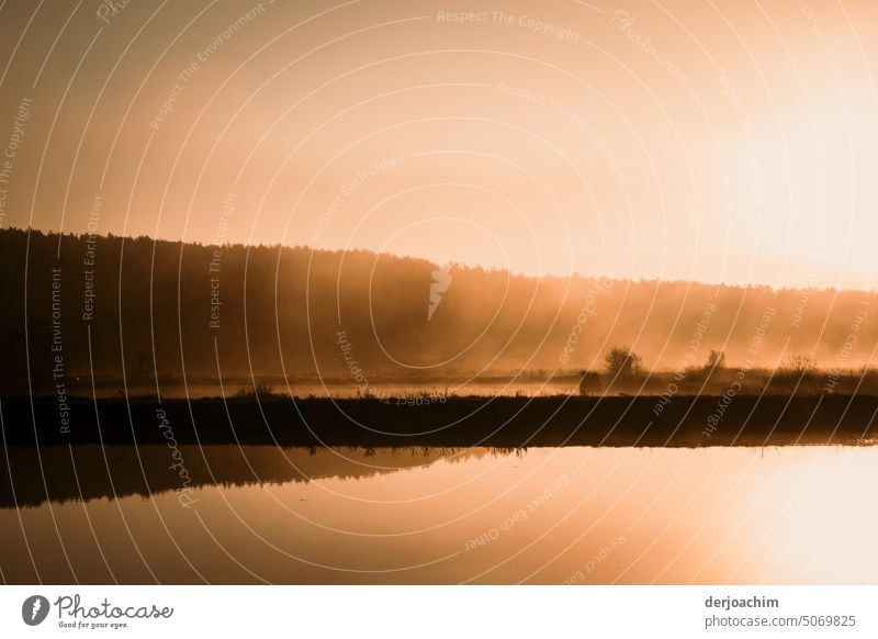 Morgenstunde an den Weihern. Natur Außenaufnahme Reflexion & Spiegelung Wasseroberfläche Umwelt Idylle Teich ruhig Wasserspiegelung Menschenleer Landschaft Tag