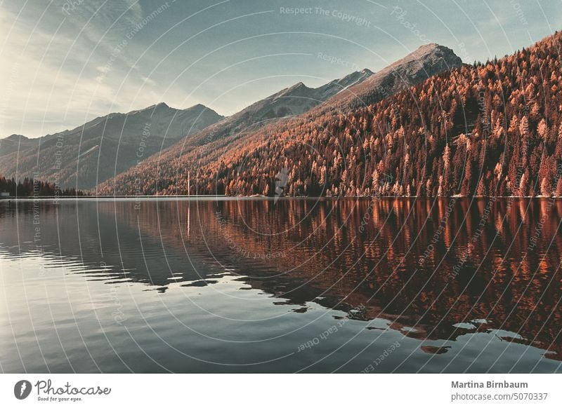 Stille am Lago D'isola in der Schweiz Schweizer san bernadino lago d'isola Landschaft Windstille Natur Tourismus Wald See Wasser Reflexion & Spiegelung