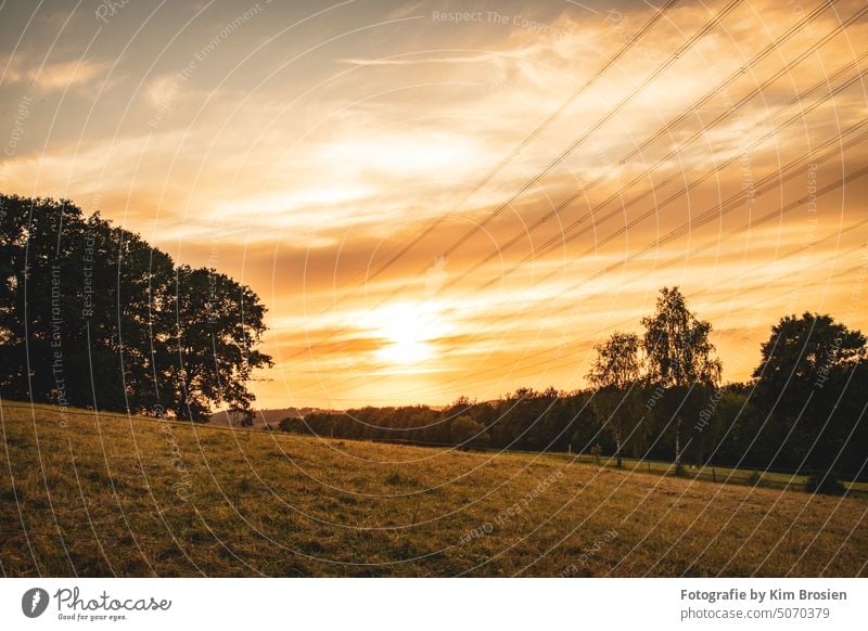 Sonnenuntergang Spätsommer auf der Weide sonne warm leuchten Oberberg sundowner Natur farblich Himmel Sonnenlicht Sonnenaufgang Außenaufnahme Menschenleer