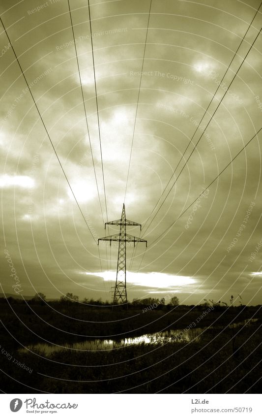 Der Untergang Baum Feld See Teich Bach Wolken Elektrizität Strommast untergehen schwarz weiß braun gruselig Natur Wasser Himmel Sonne Landschaft Rücken