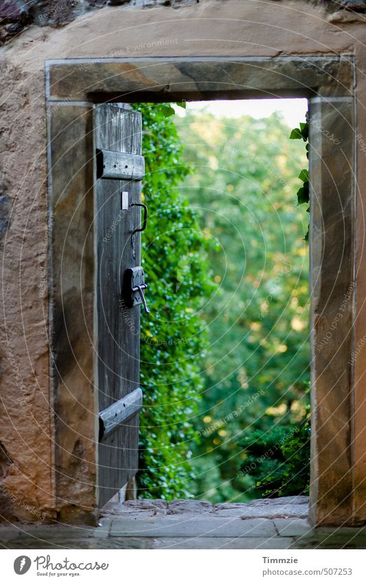 door to nowhere Natur Pflanze Baum Tür Zukunftsangst gefährlich Abenteuer Hoffnung Neugier Tor Außenaufnahme Strukturen & Formen Textfreiraum Mitte