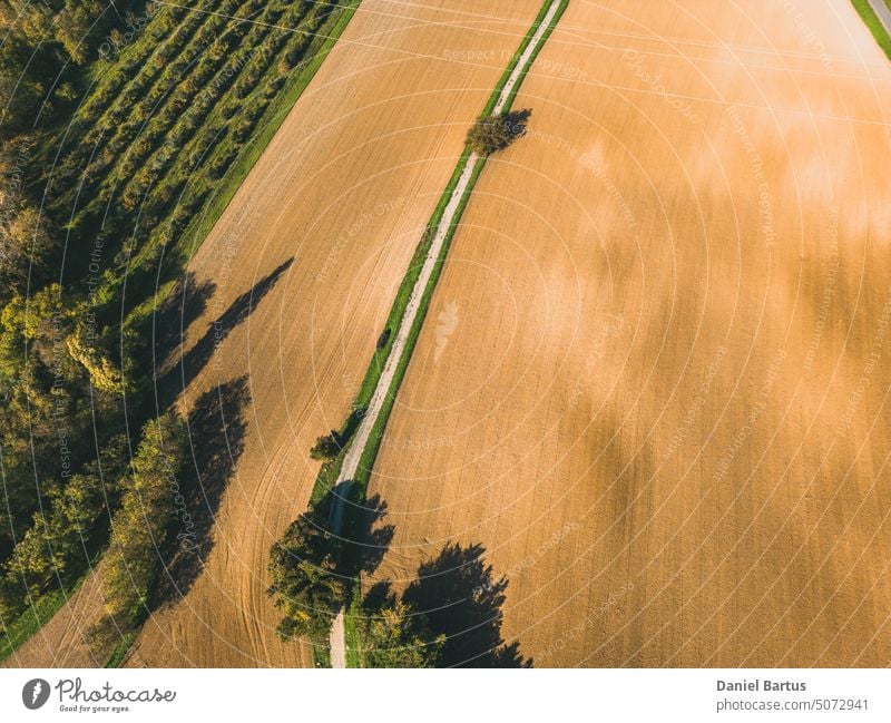 Gepflügtes Ackerland im Licht der untergehenden Sonne. In der Mitte eines asphaltierten Feldwegs Antenne Ackerland in der Luft Ackerbau airview Asphalt