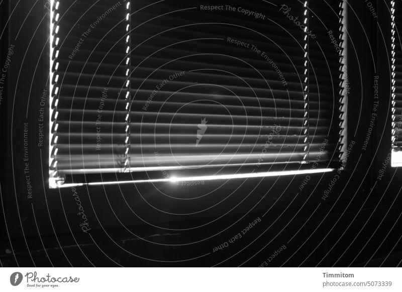 Die im Dunkeln… Jalousie abdunkeln Licht Schatten Sonnenlicht Fenster Menschenleer Innenaufnahme geschlossen Schwarzweißfoto Lamellenjalousie Rückzug Schutz