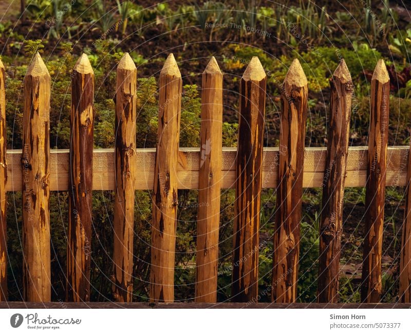 Latten am Zaun Holzzaun Schutz Garten Gartenzaun Grenze Grundstück Gemüsegarten Nachbar Barriere naturbelassen Sicherheit Begrenzung Kräutergarten grün Spitze