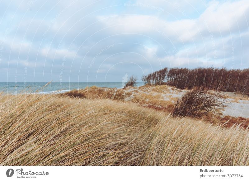 Fernweh Küste Strand und Meer Wasser Himmel Sand Ferien & Urlaub & Reisen Außenaufnahme Landschaft Tourismus Wellen Farbfoto Natur Sehnsucht Dünen Dünengras