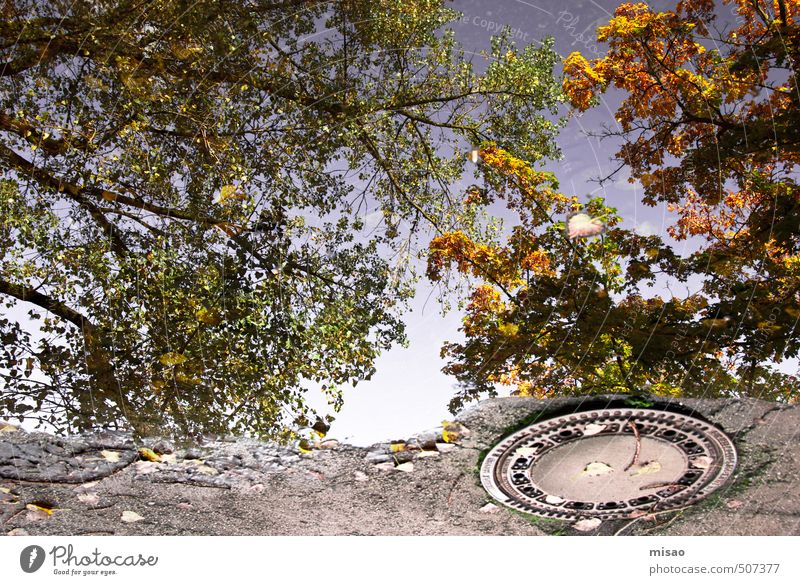 Herbst in der Pfütze II Duft Baustelle Sonnenenergie Umwelt Natur Luft Wolkenloser Himmel Schönes Wetter Baum Park Stadt Stadtrand Menschenleer Platz