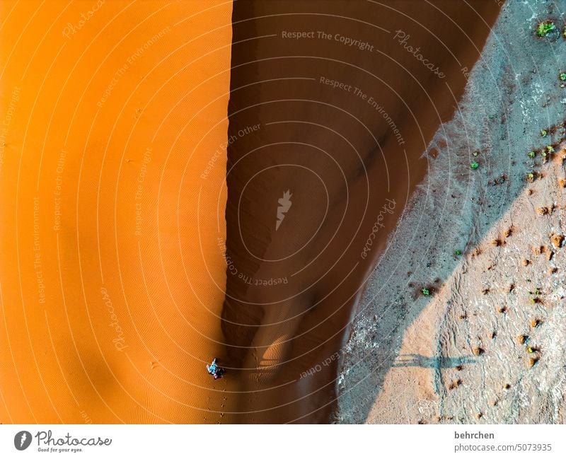 immer mal die perspektive ändern Einsamkeit träumen dune 40 Dünen sanddüne magisch beeindruckend besonders traumhaft Wärme Abenteuer Freiheit reisen Natur