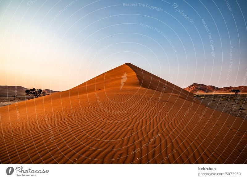 unberührt Windrippel Himmel Spuren stille Morgendämmerung Dämmerung Sonnenaufgang sanddüne Dünen magisch beeindruckend besonders traumhaft Abenteuer Einsamkeit