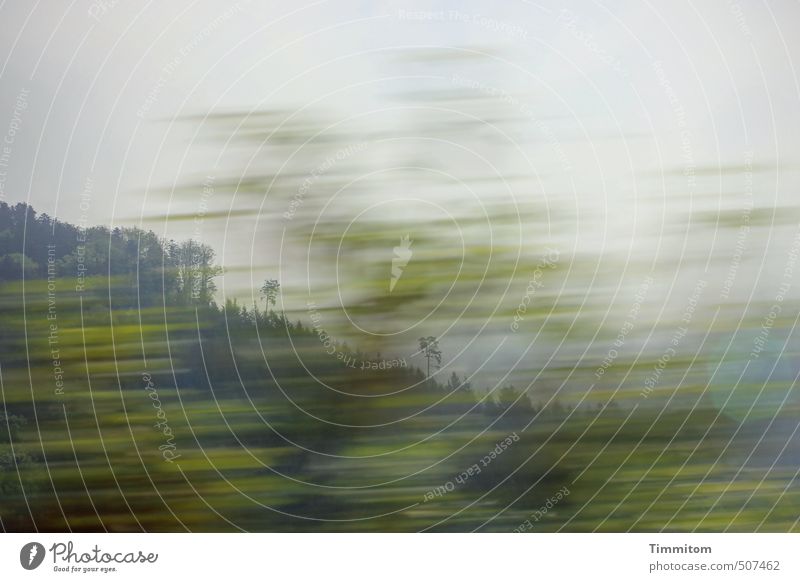 Der grüne Reiter! Umwelt Landschaft Pflanze Himmel Baum Wald Ferien & Urlaub & Reisen ästhetisch einfach grau Gefühle Bahnfahren Farbfoto Gedeckte Farben