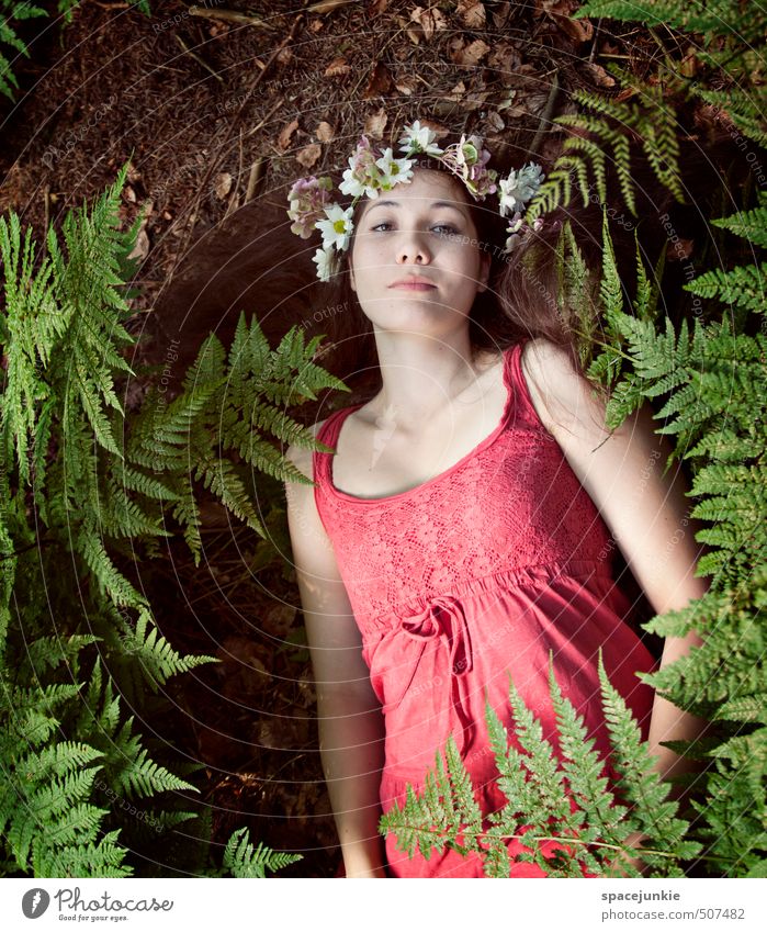 In the woods Mensch feminin Junge Frau Jugendliche Erwachsene 1 18-30 Jahre Umwelt Natur Landschaft Erde Sommer Herbst Blume Farn Grünpflanze Park Wald brünett