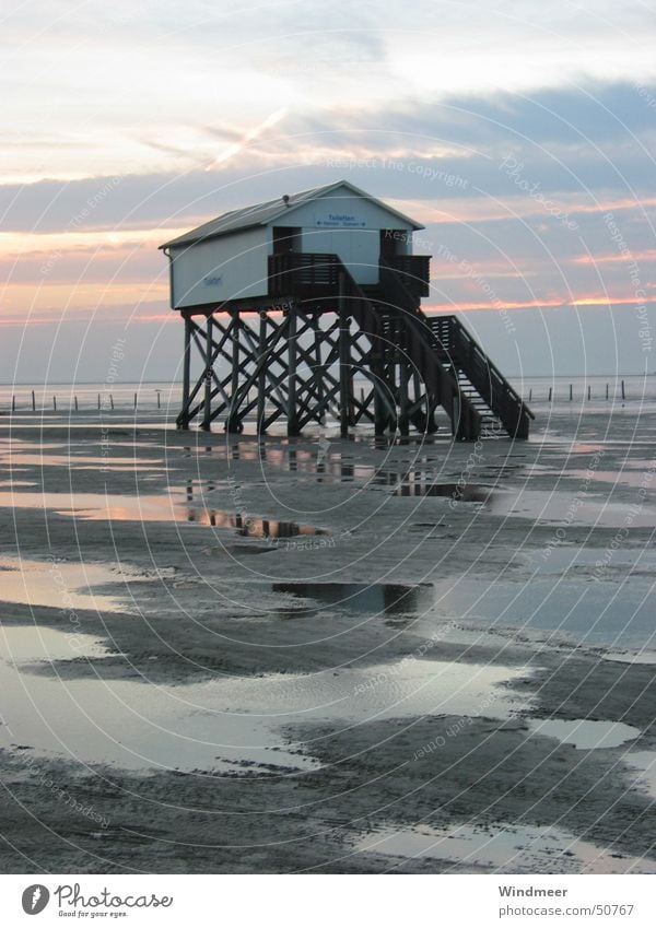 Pfahlbau Ferien & Urlaub & Reisen Tourismus Ausflug Ferne Freiheit Strand Meer Haus Sand Wasser Wolken Horizont Sonnenaufgang Sonnenuntergang Küste Nordsee