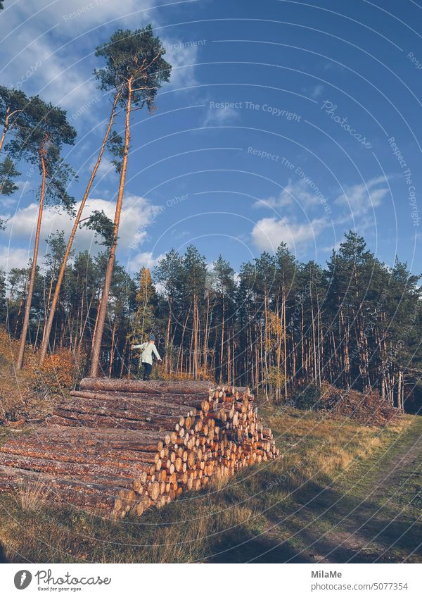 Kind balanciert über gestapelte Baumstämme am Waldrand Holz holzstämme Holzstapel Kaminholz Brennholz Abholzung Forstwirtschaft Natur Naturerlebnis Freiheit