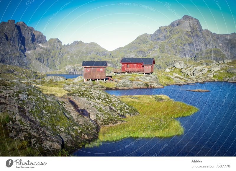 Lofoten XVII Gesundheit Wohlgefühl Zufriedenheit Sinnesorgane Erholung ruhig Ferien & Urlaub & Reisen Tourismus Ausflug Abenteuer Ferne Freiheit Natur