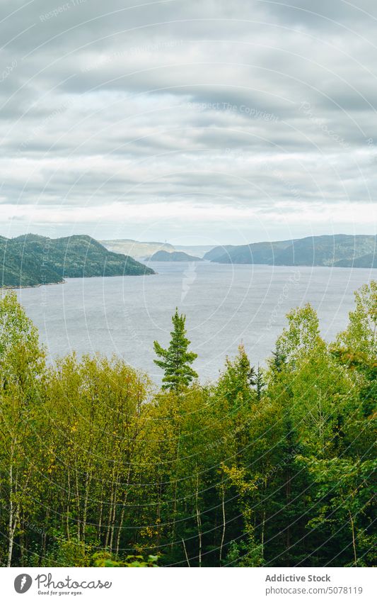 Malerische Aussicht auf See und Berge Baum Berghang Berge u. Gebirge Wald Natur Landschaft wolkig Himmel Umwelt Kanada Wetter Wasser Saison malerisch