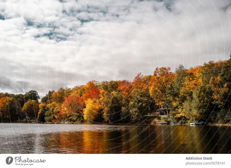 See im Herbst Wald spiegelnde Bäume Natur Wasser Landschaft nadelhaltig Baum malerisch Botanik Atmosphäre idyllisch atemberaubend Wachstum Wälder Harmonie