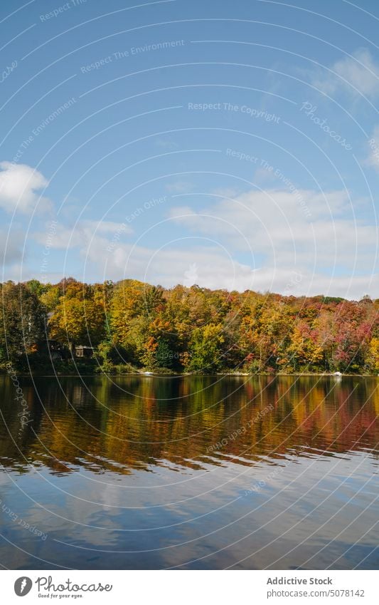 See im Herbst Wald spiegelnde Bäume Natur Wasser Landschaft nadelhaltig Baum malerisch Botanik Atmosphäre idyllisch atemberaubend Wachstum Wälder Harmonie