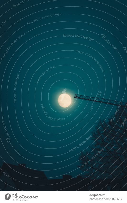 Der schnellste und kürzeste Weg zum Mond. Himmel Nacht Vollmond Außenaufnahme Landschaft leuchten Mondschein Menschenleer Nachthimmel dunkel Stimmung Licht