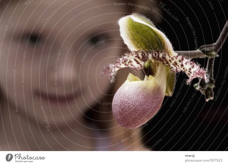 Zwei Schönheiten! harmonisch Sinnesorgane ruhig Meditation Mensch feminin Kind Mädchen Kopf 1 3-8 Jahre Kindheit Pflanze Blume Orchidee Blüte Topfpflanze