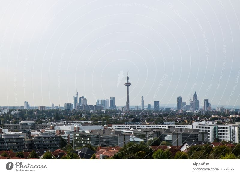 Frankfurt Frankfurt am Main Architektur Hochhaus Skyline Himmel Gebäude Bankenviertel Bankgebäude Großstadt Hessen Business Stadtzentrum Außenaufnahme Farbfoto