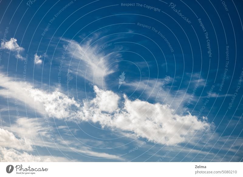 Blauer Himmel und weiße Wolken abstrakt Air Atmosphäre Hintergrund schön Schönheit blau hell übersichtlich Klima Wolkenlandschaft wolkig bewölkter Himmel Farbe