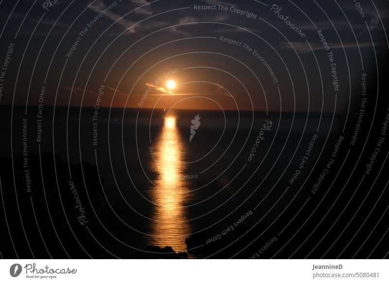 Vollmond Nacht Meer Mondschein Spiegelung im Wasser Stimmung dunkel Unschärfe verschwommener hintergrund Himmel Nachthimmel Natur Unsicherheit weitsichtig