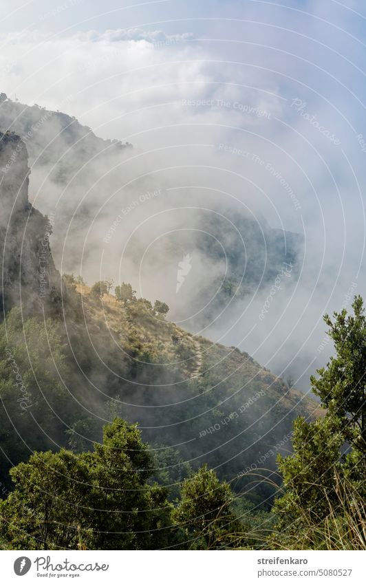 Pfad der Götter - Blick auf einen sonnenbeschienenen Hang im Nebel Italien Wanderung Sentiero degli dei Golf von Neapel Urlaub Sommer Sonne Stimmung