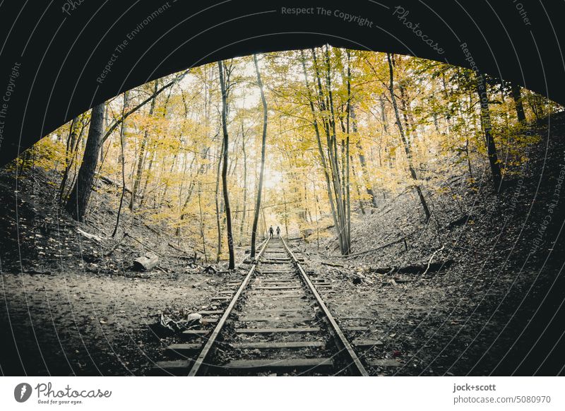 unter der Brücke auf stillgelegten Gleisen durch den Herbst Natur Schienen lost places Verfall alt Vergänglichkeit Wandel & Veränderung Renaturierung aufgegeben